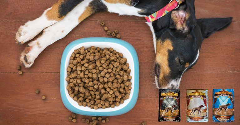 showtime dog food