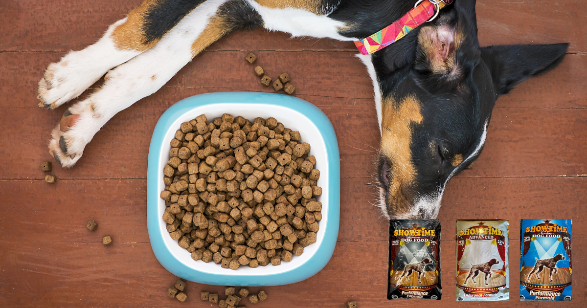 showtime dog food