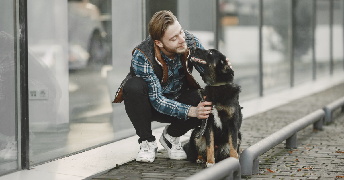 male dog names