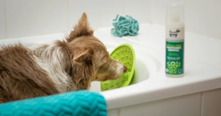 hypo shampoo for dogs