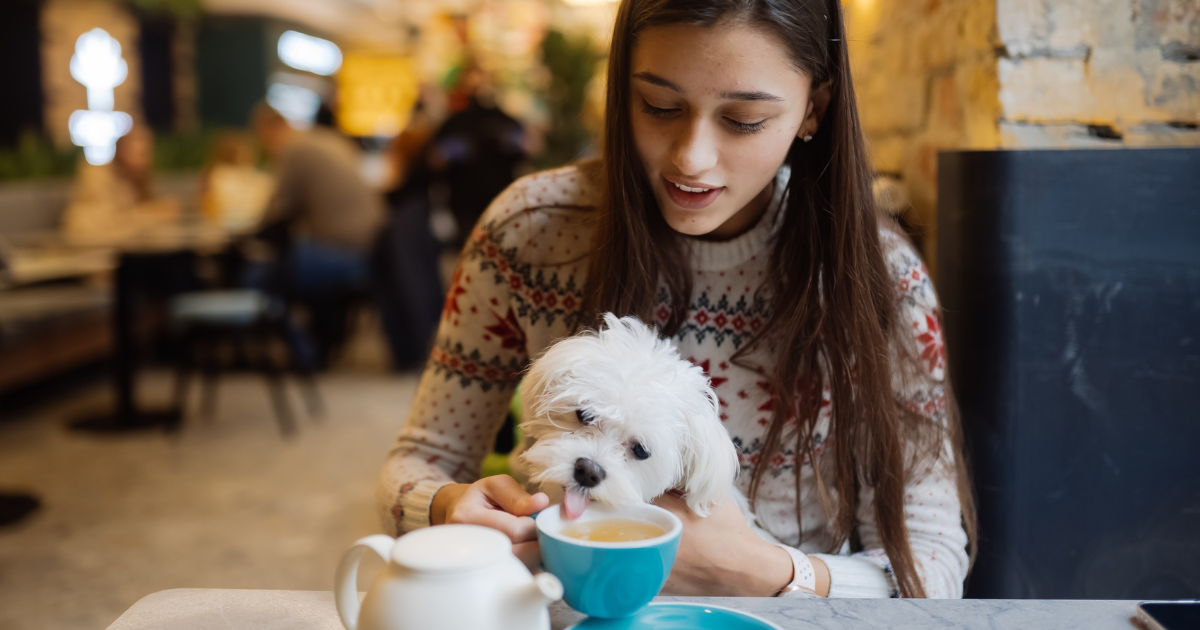 dog friendly restaurants
