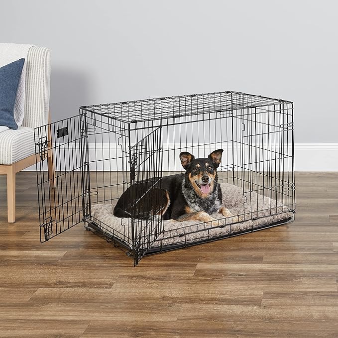 rottweiler dog price