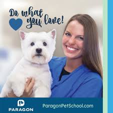 dog grooming courses