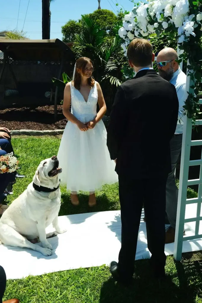 dog steals the show wedding